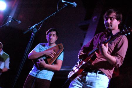 Grizzly Bear