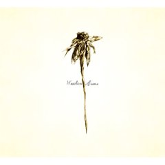 Patrick Watson & The Wooden Arms: Wooden Arms