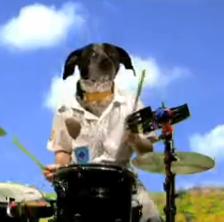 dan-deacon