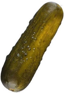 pickle