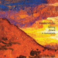 tindersticks tindersticks
